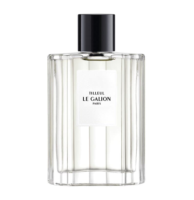 Le Galion Tilleul